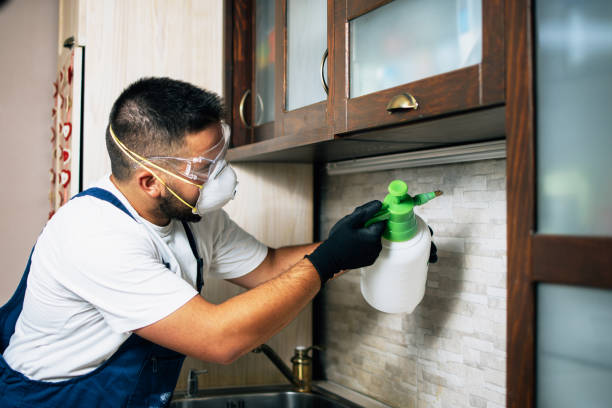 Best Affordable Pest Control Services  in Fountain Hill, PA