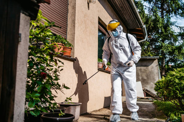 Best Wasp Removal Services  in Fountain Hill, PA