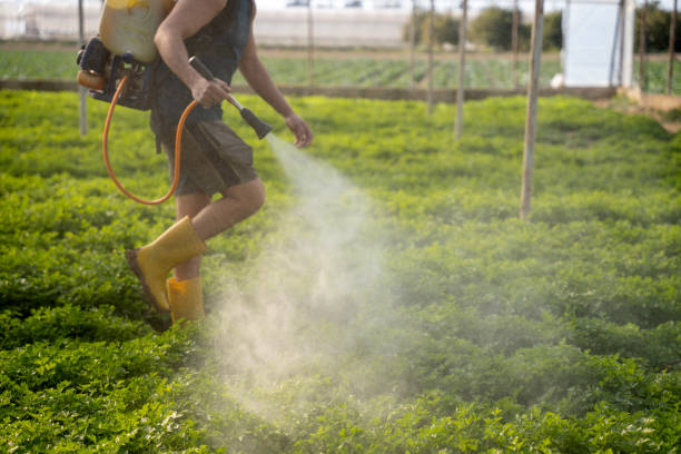 Best Mosquito Control Services  in Fountain Hill, PA
