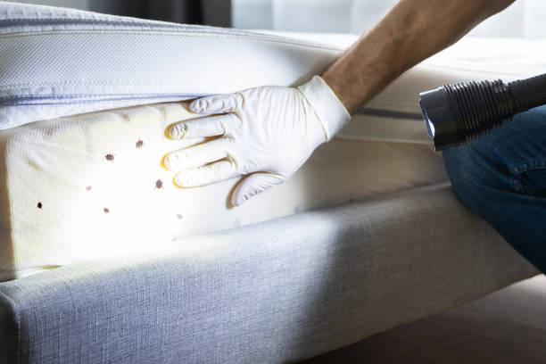 Trusted Fountain Hill, PA Pest Control Experts