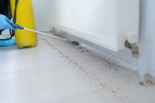 Best Pest Control Near Me  in Fountain Hill, PA